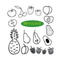 Fruits and berries hand drawn set in doodle style. Scandinavian simple monochrome liner. apple, pear, avocado, cherry, apricot,