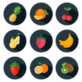 Fruits and berries Icons in flat style Royalty Free Stock Photo