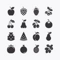 Fruits and berries icons set. on a white background. Vector icon Royalty Free Stock Photo