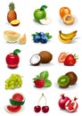 Fruits and berries set