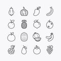 Fruits and berries line icons set. on a white background. Vector icon Royalty Free Stock Photo