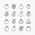 Fruits and berries line icons set. on a white background. Vector icon Royalty Free Stock Photo