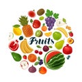 Fruits and berries. Natural food, agriculture icons. Cartoon vector illustration