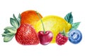Fruits and berries, orange, sweet cherry, blueberry and Strawberry, watercolor illustration