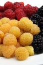 Fruits and berries raspberries