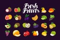 Fruits and berries, set of icons. Food, greengrocery, farm concept. Vector illustration Royalty Free Stock Photo