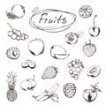 Fruits and berries, sketches Royalty Free Stock Photo