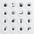 Fruits and berries, vector icons set Royalty Free Stock Photo