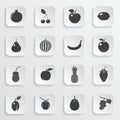 Fruits and berries, vector icons set Royalty Free Stock Photo