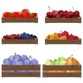 Fruits and berries in wooden boxes. Apples, pear,plums, strawberries, cherries, raspberries, blueberries. Royalty Free Stock Photo