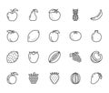 Fruits, berry flat line icons set. Orange, strawberry, pineapple, mango, lemon, kiwi, apple, grape vector illustrations