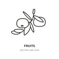 Fruits black line icon citrus orange slice vector Royalty Free Stock Photo