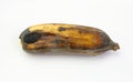 Fruits, Black Rotten Wild Banana