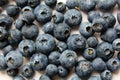 Fruits, blueberries on a white background.