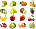 Fruits cartoon collection two for kids