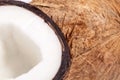 Fruits of coconut , close up Royalty Free Stock Photo