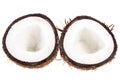 Fruits of coconut isolated on white background Royalty Free Stock Photo