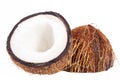 Fruits of coconut isolated on white background Royalty Free Stock Photo
