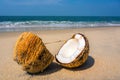 Fruits of coconuts on desk space Royalty Free Stock Photo