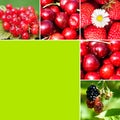 Fruits collage Royalty Free Stock Photo