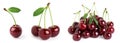 Fruits. Collection of cherries on white background. Fresh cherry