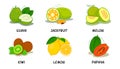 Fruits, Fruits Collection, Guava, Jack fruit, Melon, Kiwi, Lemon, Papaya