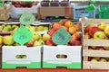 Fruits in Crates Royalty Free Stock Photo