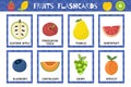 Fruits flashcards collection. Healthy food flash cards set for school and preschool