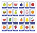 Fruits flashcards bundle. Big collection with different fruits