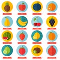 Fruits flat icon set. Colorful template for