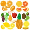 Fruits flat vector icons illustration Royalty Free Stock Photo