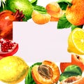 Fruits frame with pomegranate, lemon, lime, tangerine and apple and copy space. Creative layout with white paper card