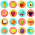 Fruits fruit icon set flat design