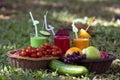 Fruits and fruit juices in a tropical garden