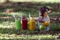 Fruits and fruit juices in a tropical garden