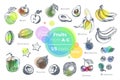 Fruits hand drawn icons set. Fresh organic food