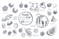 Fruits hand drawn sketch icons set. Organic food