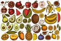 Fruits hand drawn vector illustrations collection. Colored bananas, pears, kiwi etc. Royalty Free Stock Photo