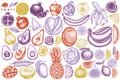 Fruits hand drawn vector illustrations collection. Stylized bananas, pears, kiwi etc. Royalty Free Stock Photo