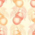 Fruits hand drawn vector seamless pattern with peach. Retro engraved style background. Can be use for menu, label