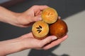 Fruits in the hands Royalty Free Stock Photo