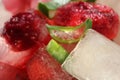 Fruits in Ice: Cherry, strawberry, raspberry, Aloe Vera