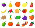 Fruits icon set, cartoon style Royalty Free Stock Photo