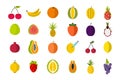 Fruits icon set, flat style Royalty Free Stock Photo