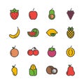 Fruits icon set.Vector illustration