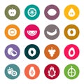 Fruits icon set. Vector Illustration Royalty Free Stock Photo