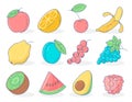 Fruits icon vector set. Royalty Free Stock Photo