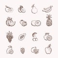 Fruits icons set