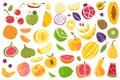 Fruits isolated. Cherry orange peach plum banana melon lime colorful fruit. Natural vegan food cartoon vector set