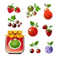 Fruits jam-01 Royalty Free Stock Photo